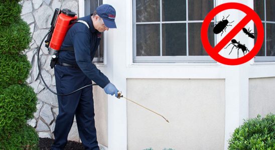 Başkale Fare İlaçlama böcek ilaçlama ve haşere kontrolü — ilaclama-tr.com